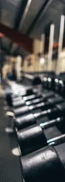 Muscle Fitness Club gym floor with imported equipment