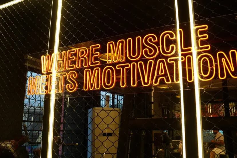 Muscle Fitness Club gallery