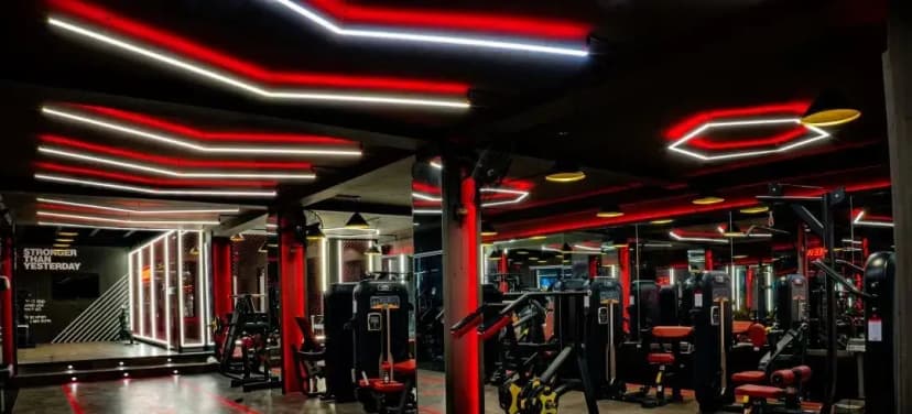 Muscle Fitness Club gallery