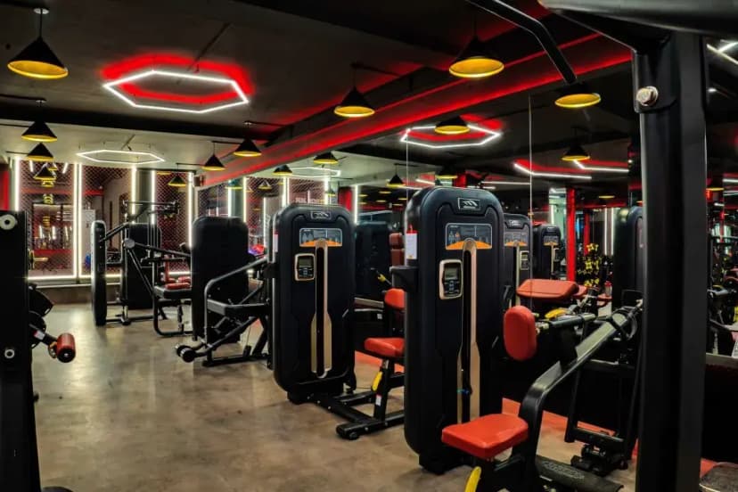Muscle Fitness Club gallery