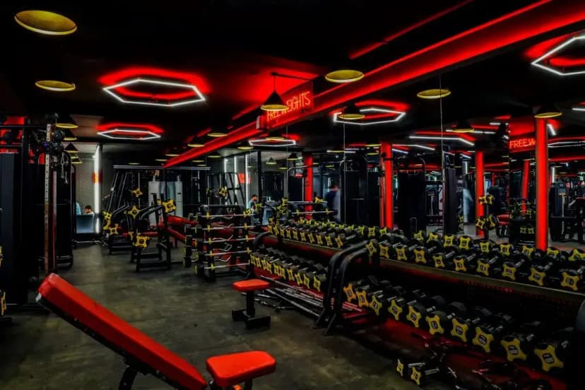 Muscle Fitness Club gallery