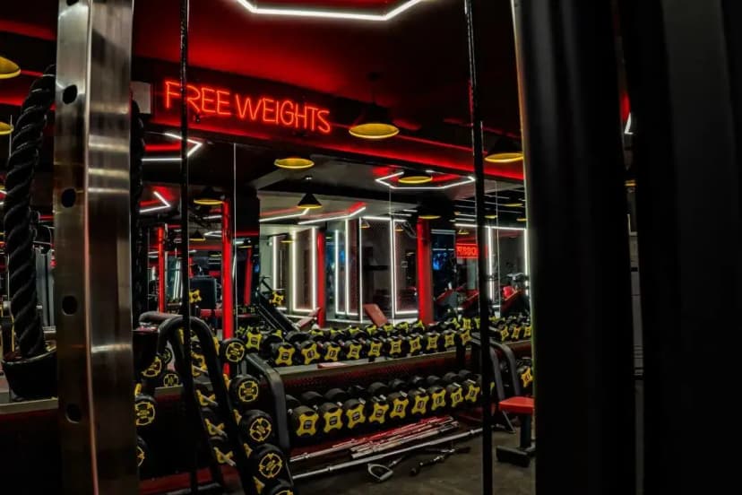 Muscle Fitness Club gallery