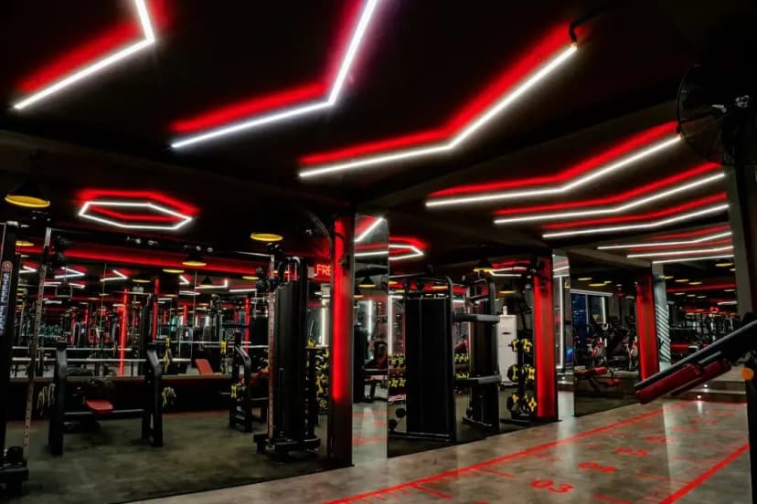 Muscle Fitness Club gallery