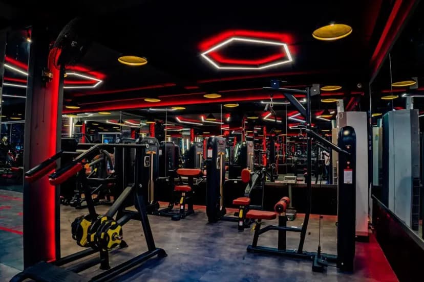 Muscle Fitness Club gallery
