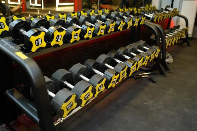 Muscle Fitness Club gallery