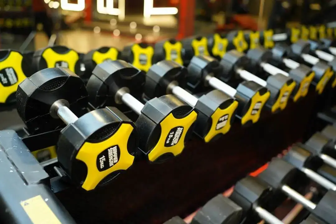 Muscle Fitness Club gallery