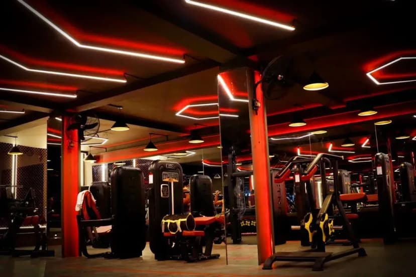 Muscle Fitness Club gallery